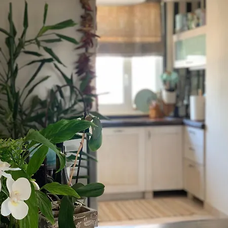 아파트 Adriatic Skyview 스플리트